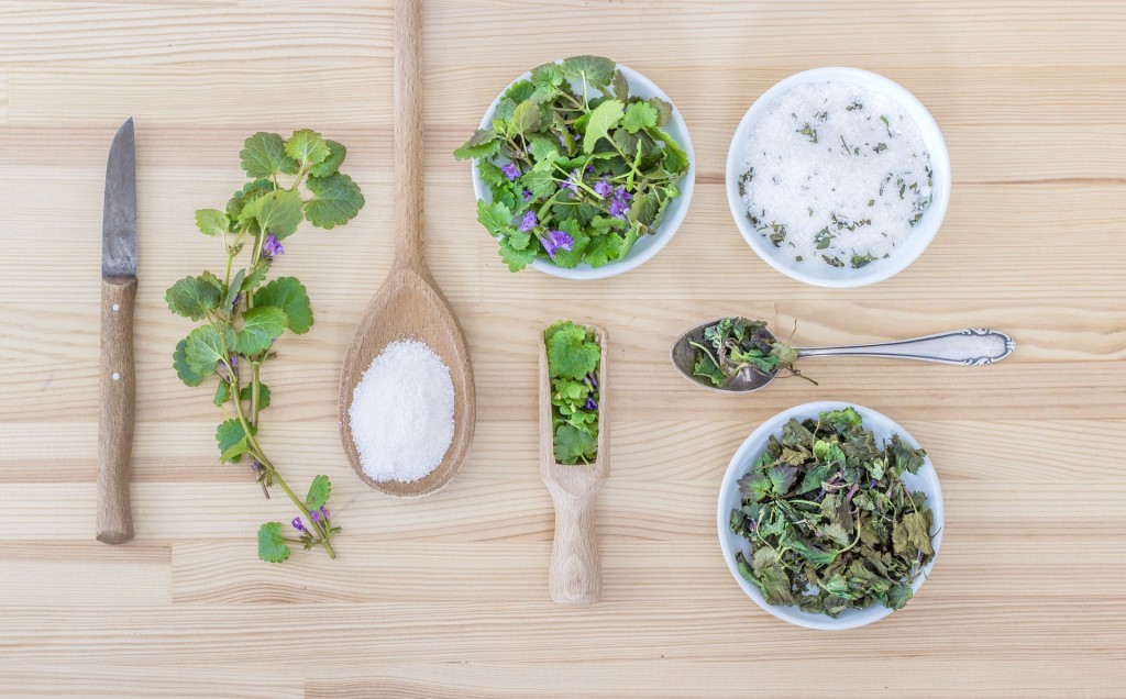 herbs-2427845_1920