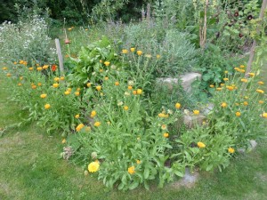 Kraeuterhochbeet im Sommer 1_web